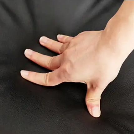 Solenza LC2 Sofa | Black Leather & Goose Down Blend